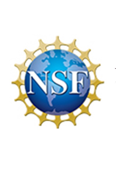 NSF logo