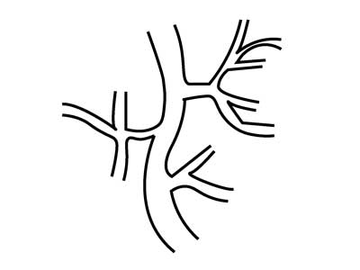 An icon representing line drawn artery