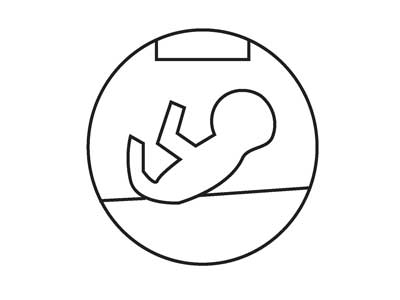 an icon representing a diagram of premature infant